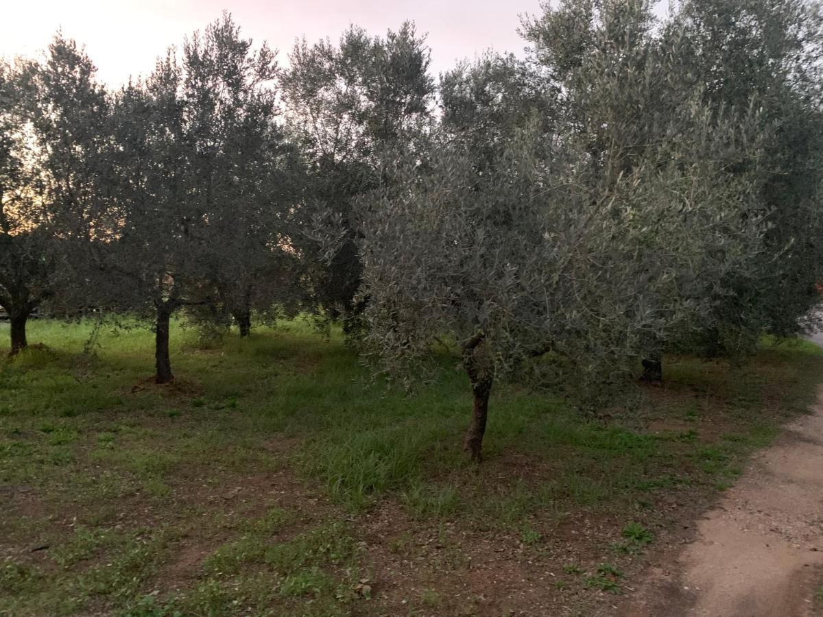 Camera Graziosa Albinia Zewnętrze zdjęcie